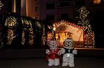 Dcim8659/DSC_4609