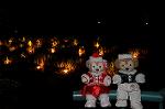 Dcim8659/DSC_4629