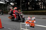 Dcim8665/DSC_4965