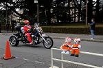 Dcim8665/DSC_4982