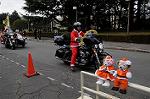 Dcim8665/DSC_4994