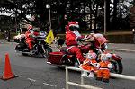 Dcim8665/DSC_5019