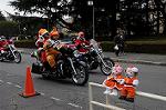 Dcim8666/DSC_5116