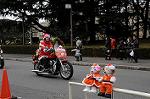 Dcim8666/DSC_5151