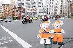 Dcim8667/DSC_5259