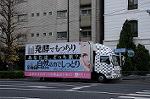 Dcim8667/DSC_5303