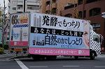 Dcim8667/DSC_5304