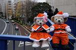 Dcim8668/DSC_5354