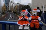 Dcim8668/DSC_5368