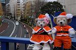 Dcim8668/DSC_5374
