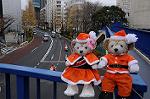 Dcim8668/DSC_5378