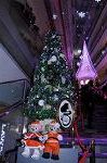 Dcim8668/DSC_5416
