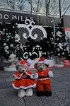 Dcim8669/DSC_5459