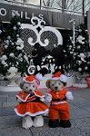 Dcim8669/DSC_5461