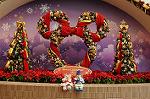 Dcim8672/DSC_5724