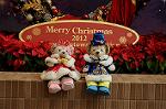 Dcim8672/DSC_5725