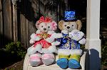 Dcim8676/DSC_6349