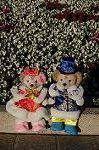 Dcim8679/DSC_6860