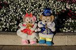 Dcim8679/DSC_6862