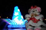 Dcim8681/DSC_7163