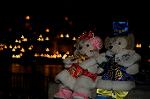 Dcim8681/DSC_7185