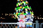 Dcim8682/DSC_7275