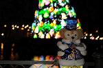 Dcim8682/DSC_7278