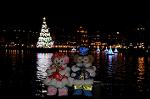 Dcim8685/DSC_7704