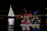 Dcim8685/DSC_7717