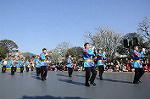Dcim8706/DSC_9717