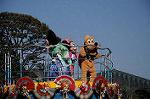 Dcim8706/DSC_9732