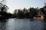 Dcim8709/DSC_0145