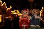 Dcim8711/DSC_0323