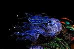 Dcim8713/DSC_0652
