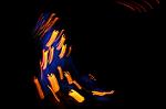 Dcim8716/DSC_1066
