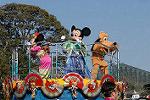 Dcim8718/DSC_0539