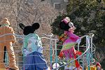 Dcim8719/DSC_0563