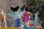Dcim8719/DSC_0564