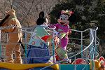 Dcim8719/DSC_0573