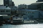 Dcim8720/DSC_1302
