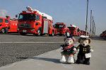 Dcim8732/DSC_2154
