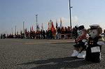 Dcim8732/DSC_2176