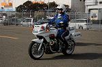 Dcim8735/DSC_2567