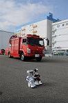 Dcim8735/DSC_2626