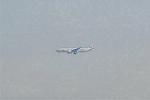Dcim8736/DSC_1092
