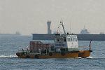 Dcim8736/DSC_1130