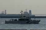 Dcim8736/DSC_1136