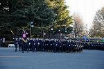 Dcim8737/DSC_2729