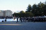 Dcim8737/DSC_2733
