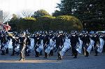 Dcim8737/DSC_2765